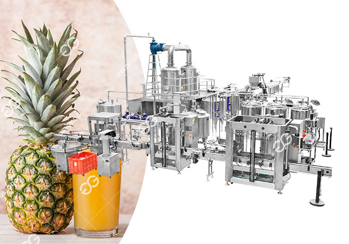 Pineapple Juice Processing Line
